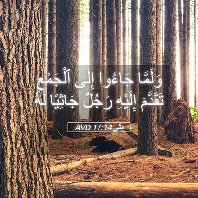 Picture 05 - مَتَّى 17:14 AVD - وَلَمَّا جَاءُوا إِلَى - Bible Verse Picture