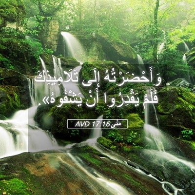 Picture 05 - مَتَّى 17:16 AVD - وَأَحْضَرْتُهُ إِلَى - Bible Verse Picture