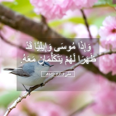 Picture 05 - مَتَّى 17:3 AVD - وَإِذَا مُوسَى - Bible Verse Picture