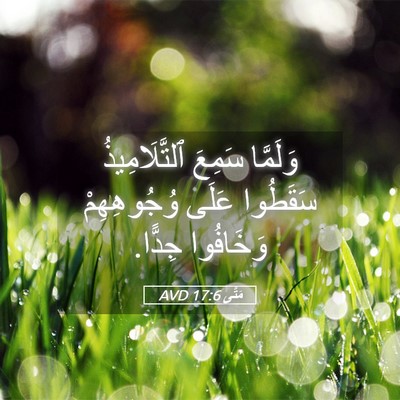 Picture 05 - مَتَّى 17:6 AVD - وَلَمَّا سَمِعَ - Bible Verse Picture
