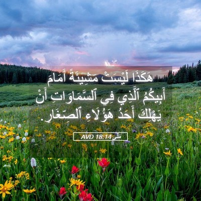 Picture 05 - مَتَّى 18:14 AVD - هَكَذَا لَيْسَتْ - Bible Verse Picture