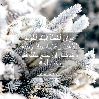 Picture 05 - مَتَّى 18:15 AVD - «وَإِنْ أَخْطَأَ إِلَيْكَ - Bible Verse Picture