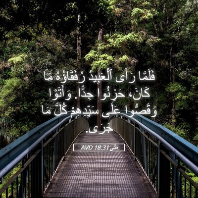 Picture 05 - مَتَّى 18:31 AVD - فَلَمَّا رَأَى ٱلْعَبِيدُ - Bible Verse Picture