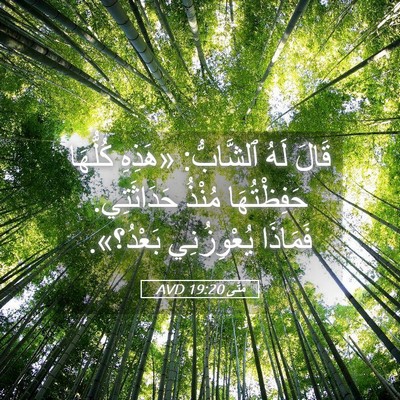 Picture 05 - مَتَّى 19:20 AVD - قَالَ لَهُ ٱلشَّابُّ: - Bible Verse Picture