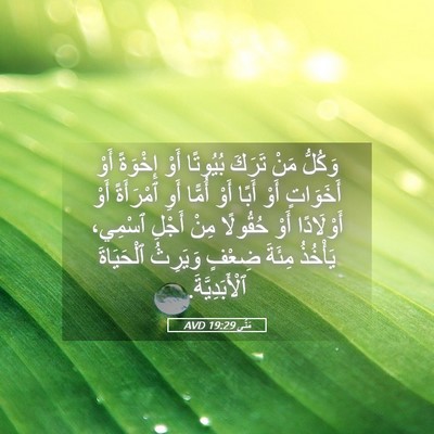 Picture 05 - مَتَّى 19:29 AVD - وَكُلُّ مَنْ تَرَكَ - Bible Verse Picture