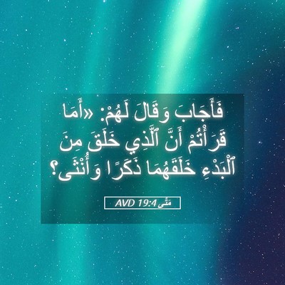 Picture 05 - مَتَّى 19:4 AVD - فَأَجَابَ وَقَالَ لَهُمْ: - Bible Verse Picture
