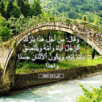 Picture 05 - مَتَّى 19:5 AVD - وَقَالَ: مِنْ أَجْلِ هَذَا - Bible Verse Picture