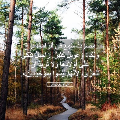 Picture 05 - مَتَّى 2:18 AVD - «صَوْتٌ سُمِعَ فِي - Bible Verse Picture