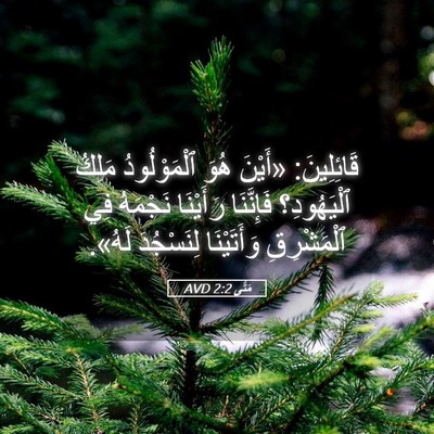 Picture 05 - مَتَّى 2:2 AVD - قَائِلِينَ: «أَيْنَ هُوَ - Bible Verse Picture