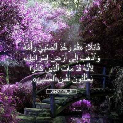 Picture 05 - مَتَّى 2:20 AVD - قَائِلًا: «قُمْ وَخُذِ - Bible Verse Picture