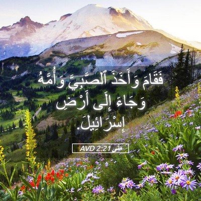 Picture 05 - مَتَّى 2:21 AVD - فَقَامَ وَأَخَذَ - Bible Verse Picture