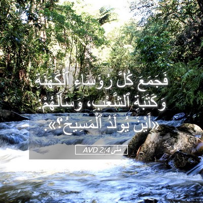 Picture 05 - مَتَّى 2:4 AVD - فَجَمَعَ كُلَّ رُؤَسَاءِ - Bible Verse Picture