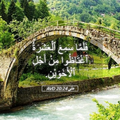 Picture 05 - مَتَّى 20:24 AVD - فَلَمَّا سَمِعَ - Bible Verse Picture