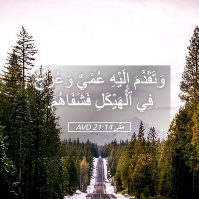 Picture 05 - مَتَّى 21:14 AVD - وَتَقَدَّمَ إِلَيْهِ - Bible Verse Picture