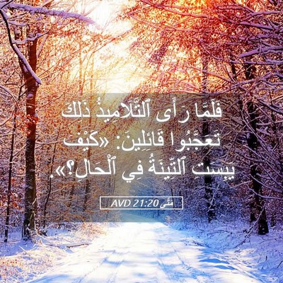 Picture 05 - مَتَّى 21:20 AVD - فَلَمَّا رَأَى - Bible Verse Picture