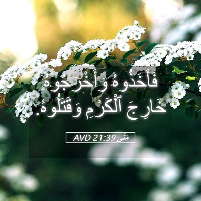 Picture 05 - مَتَّى 21:39 AVD - فَأَخَذُوهُ وَأَخْرَجُوهُ - Bible Verse Picture