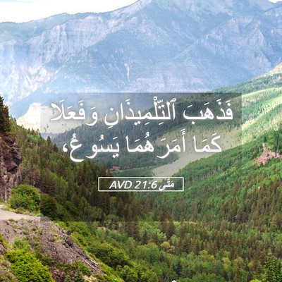 Picture 05 - مَتَّى 21:6 AVD - فَذَهَبَ ٱلتِّلْمِيذَانِ - Bible Verse Picture