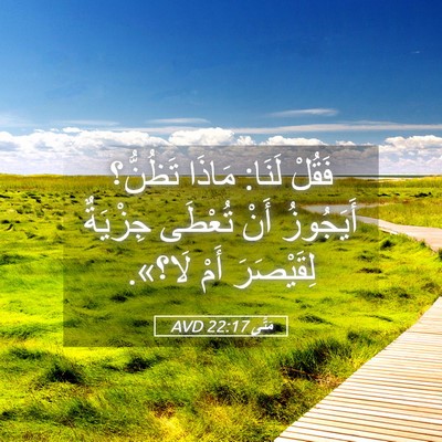Picture 05 - مَتَّى 22:17 AVD - فَقُلْ لَنَا: مَاذَا - Bible Verse Picture