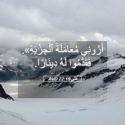 Picture 05 - مَتَّى 22:19 AVD - أَرُونِي مُعَامَلَةَ - Bible Verse Picture