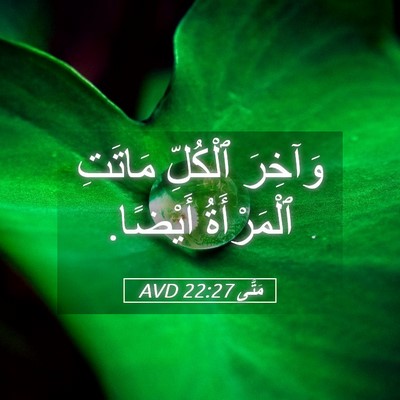 Picture 05 - مَتَّى 22:27 AVD - وَآخِرَ ٱلْكُلِّ مَاتَتِ - Bible Verse Picture