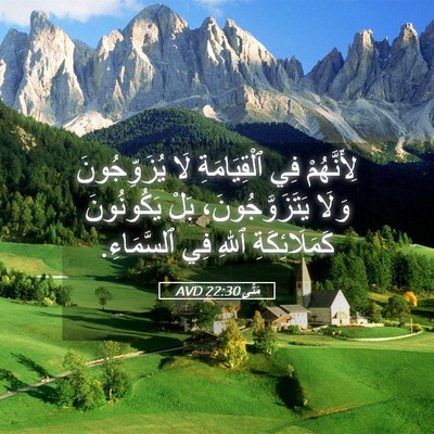 Picture 05 - مَتَّى 22:30 AVD - لِأَنَّهُمْ فِي - Bible Verse Picture