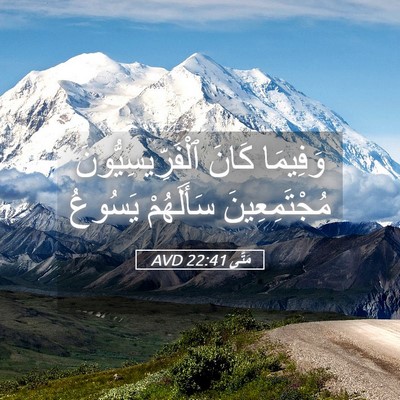 Picture 05 - مَتَّى 22:41 AVD - وَفِيمَا كَانَ - Bible Verse Picture