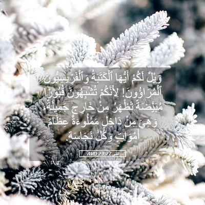 Picture 05 - مَتَّى 23:27 AVD - وَيْلٌ لَكُمْ أَيُّهَا - Bible Verse Picture