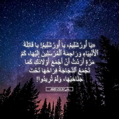Picture 05 - مَتَّى 23:37 AVD - «يَا أُورُشَلِيمُ، يا - Bible Verse Picture