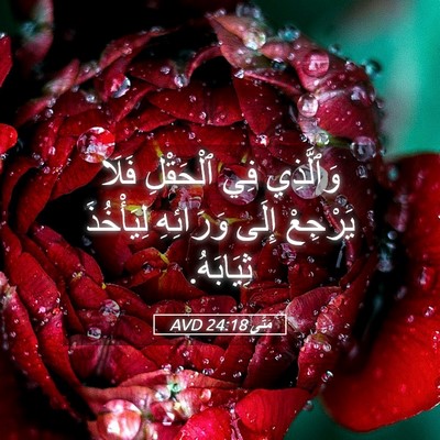 Picture 05 - مَتَّى 24:18 AVD - وَٱلَّذِي فِي ٱلْحَقْلِ - Bible Verse Picture