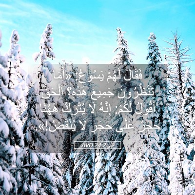 Picture 05 - مَتَّى 24:2 AVD - فَقَالَ لَهُمْ يَسُوعُ: - Bible Verse Picture