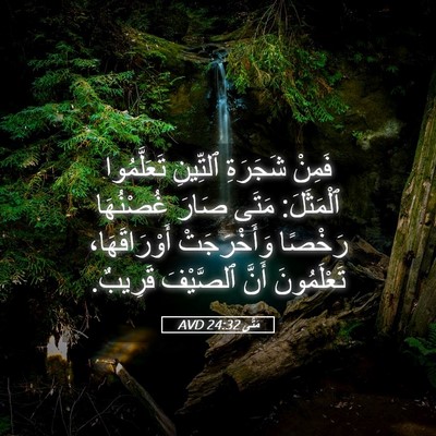 Picture 05 - مَتَّى 24:32 AVD - فَمِنْ شَجَرَةِ ٱلتِّينِ - Bible Verse Picture