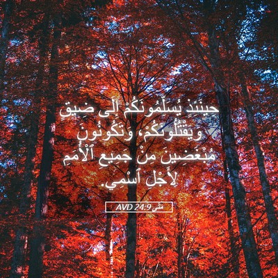 Picture 05 - مَتَّى 24:9 AVD - حِينَئِذٍ - Bible Verse Picture