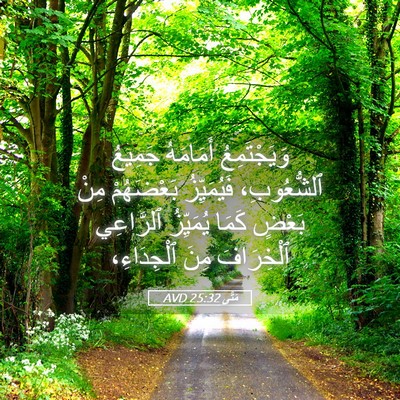 Picture 05 - مَتَّى 25:32 AVD - وَيَجْتَمِعُ أَمَامَهُ - Bible Verse Picture