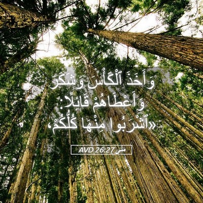 Picture 05 - مَتَّى 26:27 AVD - وَأَخَذَ ٱلْكَأْسَ - Bible Verse Picture