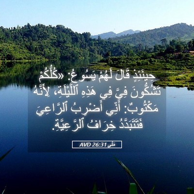 Picture 05 - مَتَّى 26:31 AVD - حِينَئِذٍ قَالَ لَهُمْ - Bible Verse Picture