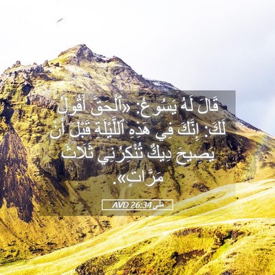 Picture 05 - مَتَّى 26:34 AVD - قَالَ لَهُ يَسُوعُ: - Bible Verse Picture