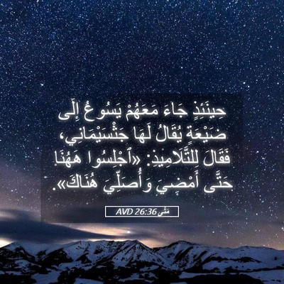 Picture 05 - مَتَّى 26:36 AVD - حِينَئِذٍ جَاءَ مَعَهُمْ - Bible Verse Picture