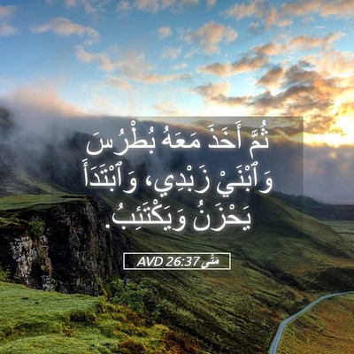 Picture 05 - مَتَّى 26:37 AVD - ثُمَّ أَخَذَ مَعَهُ - Bible Verse Picture