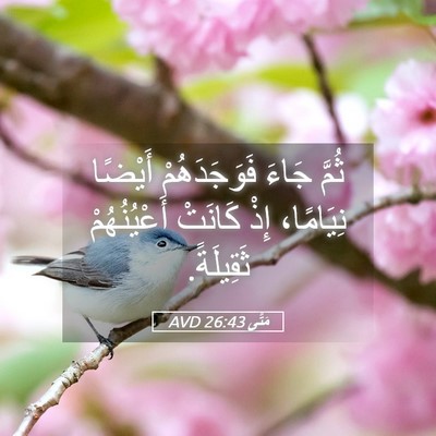 Picture 05 - مَتَّى 26:43 AVD - ثُمَّ جَاءَ فَوَجَدَهُمْ - Bible Verse Picture