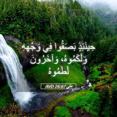 Picture 05 - مَتَّى 26:67 AVD - حِينَئِذٍ بَصَقُوا فِي - Bible Verse Picture