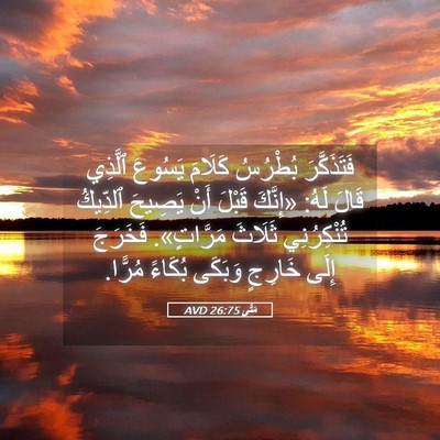 Picture 05 - مَتَّى 26:75 AVD - فَتَذَكَّرَ بُطْرُسُ - Bible Verse Picture