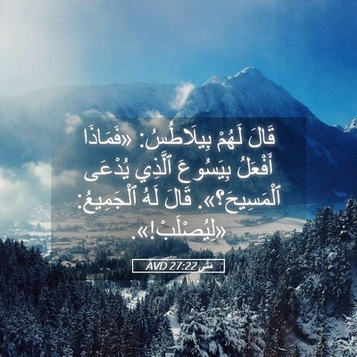 Picture 05 - مَتَّى 27:22 AVD - قَالَ لَهُمْ بِيلَاطُسُ: - Bible Verse Picture