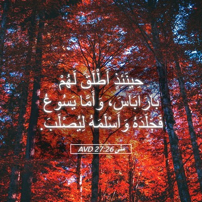 Picture 05 - مَتَّى 27:26 AVD - حِينَئِذٍ أَطْلَقَ لَهُمْ - Bible Verse Picture