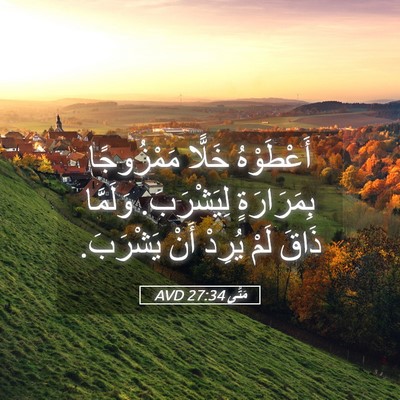 Picture 05 - مَتَّى 27:34 AVD - أَعْطَوْهُ خَلًّا - Bible Verse Picture