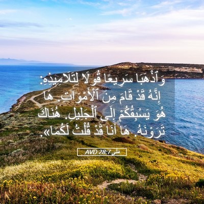 Picture 05 - مَتَّى 28:7 AVD - وَٱذْهَبَا سَرِيعًا - Bible Verse Picture