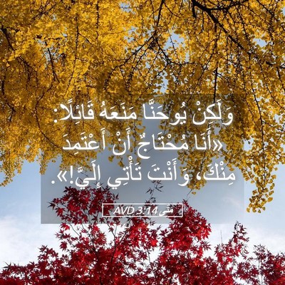 Picture 05 - مَتَّى 3:14 AVD - وَلَكِنْ يُوحَنَّا - Bible Verse Picture