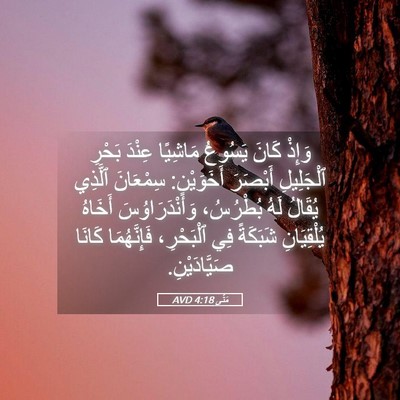 Picture 05 - مَتَّى 4:18 AVD - وَإِذْ كَانَ يَسُوعُ - Bible Verse Picture
