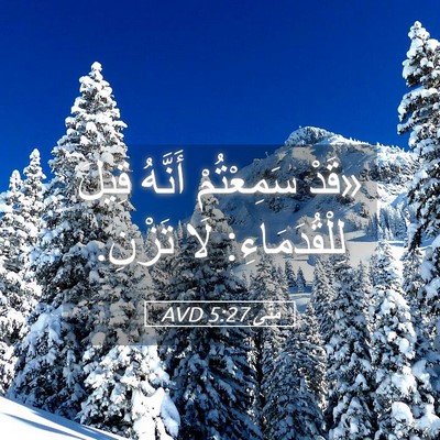 Picture 05 - مَتَّى 5:27 AVD - «قَدْ سَمِعْتُمْ أَنَّهُ - Bible Verse Picture