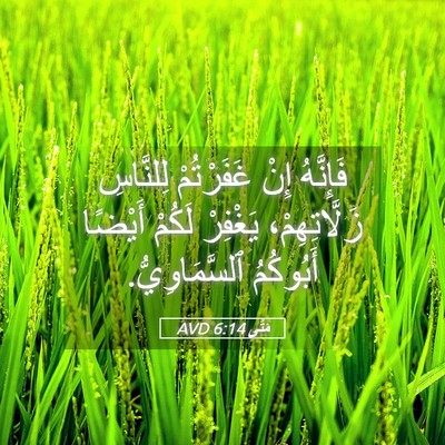 Picture 05 - مَتَّى 6:14 AVD - فَإِنَّهُ إِنْ غَفَرْتُمْ - Bible Verse Picture