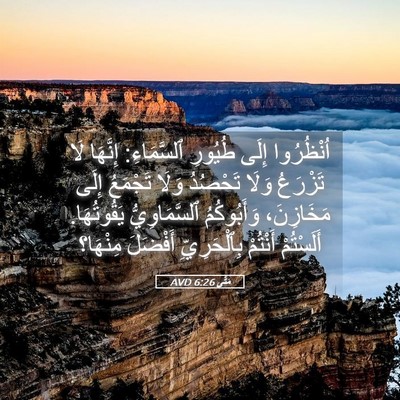 Picture 05 - مَتَّى 6:26 AVD - اُنْظُرُوا إِلَى طُيُورِ - Bible Verse Picture